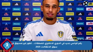 رقم قياسي جديد في الدوري الإنكليزي للصفقات.. تطور غير مسبوق في سوق الانتقالات 2025